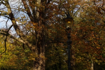 Hyde Park autumn (11)