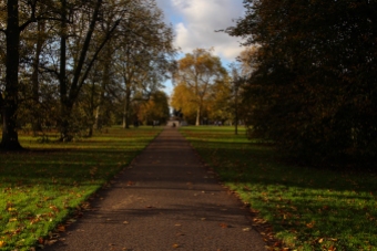 Hyde Park autumn (13)