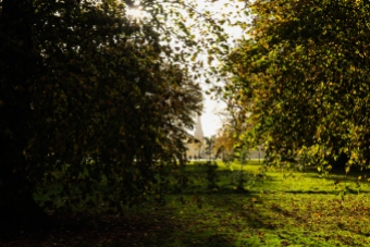 Hyde Park autumn (15)