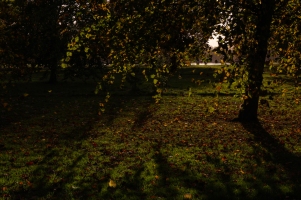 Hyde Park autumn (16)
