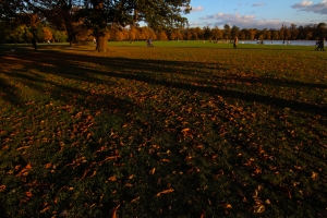 Hyde Park autumn (22)