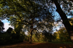 Hyde Park autumn (7)